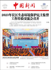 中国新闻报